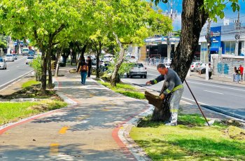 Autarquia de Limpeza Urbana realiza paisagismo na Avenida Fernandes Lima. | Crystália Tavares/Ascom Alurb