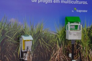 TIM e Trapview anunciam na Agrishow solução com inteligência artificial inédita no Brasil para controle de pragas