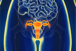 Março Amarelo: desvendando os mitos e verdades sobre a endometriose