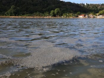 Volumes de dejetos são lançados na lagoa diariamente provocando poluição e assoreamento - Foto: Ailton Cruz - Gazeta de Alagoas