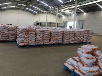 Prefeitura de Palmeira entregará 40 toneladas de sementes nesta sexta