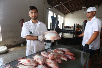 Dezenas de deodorenses acordaram cedo para comprar peixe fresco na manhã desta quarta-feira (06)  