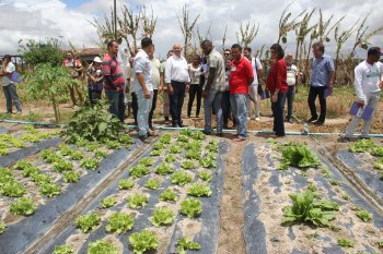 Prefeito Rogério Teófilo participa de Dia do Campo com agricultores de Arapiraca (Foto: Samuel Alves)