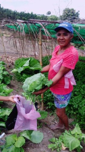 Após o sucesso de duas edições da Feira Agrária do Crédito Fundiário no município, lideranças quilombolas lançaram o projeto Quarta Verde