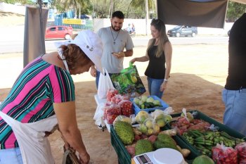 Assentamento Aldeia Verde vai comercializar frutas e verduras
