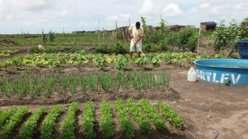 Programa visa gerar emprego e renda para os agricultores familiares