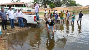 Às margens da barragem de Pai Mané, representantes de cada comunidade acompanharam o povoamento dos alevinos, receberam orientação técnica sobre o manejo e alimentação