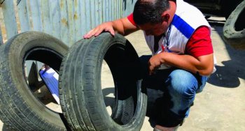 Ação conjunta recolhe mais de 1.700 pneus descartados irregularmente  Fotos: Ascom Slum