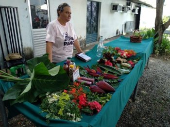 Agricultores de seis municípios comercializarão alimentos e plantas