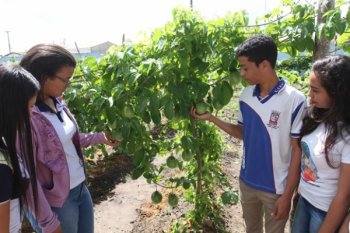 Alunos da Escola Estadual José Aprígio Vilela (EJAV), em Teotônio Vilela, são exemplo de como uma horta pode transformar o ambiente educacional - Valdir Rocha