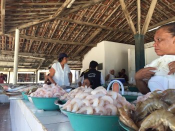 Equipes inspecionam venda de produtos das balanças de pescados de Maceió. Foto: Procon Maceió
