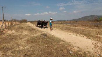 Pequenos agricultores familiares recebem primeira parcela do benefício referentes à safra 2016/2017