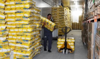 Sesau distribui 274 mil fraldas, totalizando 34.250 pacotes e contemplando os 101 municípios do interior do Estado - Fotos: Carla Cleto
