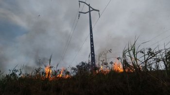 De acordo com levantamento feito pela Equatorial, 458 incêndios próximos a rede elétrica foram registrados de outubro de 2019 a janeiro de 2020