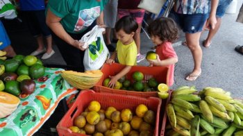 Consumidores encontrarão legumes, frutas, verduras e folhosos cultivados sem um uso de agrotóxico. Produtos estarão à venda das 8h às 12h
