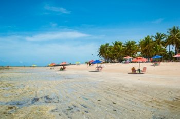 Alagoas cresceu 0,44% no número de desembarques e foi um dos únicos estados nordestinos a apresentar um percentual positivo (Fotos: Kaio Fragoso)