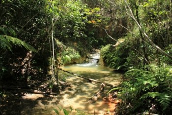 Alagoas possui 46 RPPNs que representam uma área total de 5.178,28 ha, distribuídos entre os biomas da Caatinga e Mata Atlântica