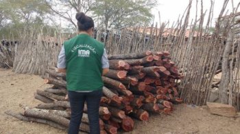 Equipe de monitoramento e fiscalização do IMA, com apoio de agentes BPA, encontrou cerca de 25 m³ de madeira tipo Jurema desmatada ilegalmente - Ascom/IMA
