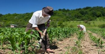 Pequenos produtores rurais de diversos municípios alagoanos passam a contar com mais uma ferramenta para produção em meio à prolongada estiagem: os kits irrigação (imagem abaixo)Adaílson Calheiros