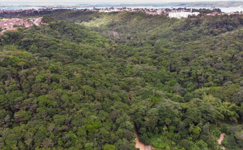 Com 84 hectares de área preservada, o Parque Municipal de Maceió é uma das maiores unidades de conservação de Alagoas. Foto: Marco Antônio/ Secom Maceió