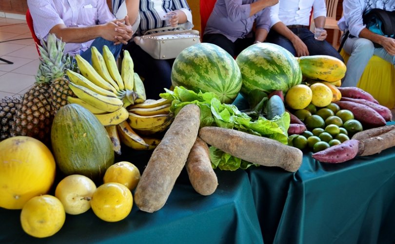 Contrato para a aquisição de alimentos a pequenos agricultores será assinado na segunda (19)