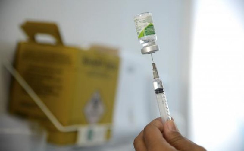 A Campanha Nacional de Vacinação contra a Gripe deve começar na segunda quinzena deste mês