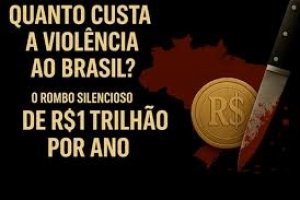 Combate as ORCRIMs no Brasil - uma abordagem baseada na Escola de Chicago