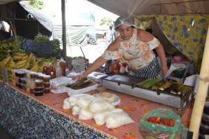 Por uma vida com mais saúde e arte, Mercado das Artes 31 recebe a Feira Agroecológica Novo Jardim