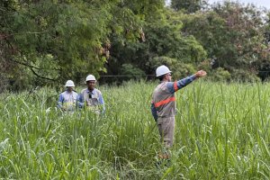 Força-tarefa da Equatorial já restabeleceu energia para 90% dos clientes afetados pelas chuvas