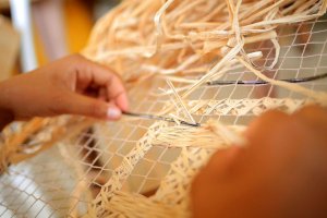 Mulheres de Fibra: do pseudocaule da bananeira ao mercado nacional, o poder do empreendedorismo sustentável no interior de Alagoas