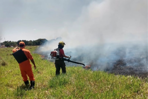 Bombeiros combatem incêndio em imóveis em São Miguel dos Milagres