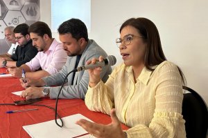 Secretários e técnicos de Saúde dos municípios discutem vasta pauta em CIB