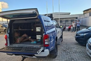 Guarda Municipal apreende drogas em casa de passagem em Maceió
