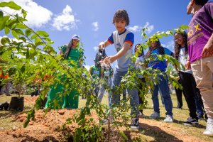 Arborizar é Massa: espaço público no Trapiche recebe plantio de árvores frutíferas