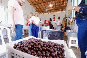 Prefeita Tia Júlia visita Cooperativa que utiliza jabuticaba como matéria-prima na produção de bebida e alimentos