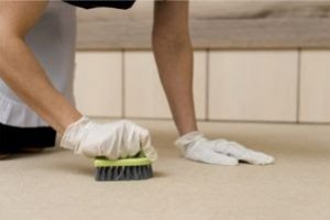 Conheça três hábitos de limpeza que parecem eficientes, mas não são