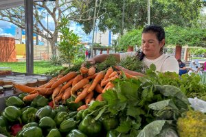Penedo recebe 2ª etapa do Circuito Regional de Feiras da Agricultura Familiar e Economia Solidária