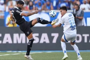 Cruzeiro vence o Botafogo e reassume a liderança do Brasileirão 
