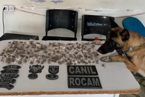 Polícia Militar apreende drogas e armas durante abordagens em Arapiraca