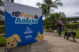 Feira de Adoção garante novos lares e acolhimento responsável para cães e gatos