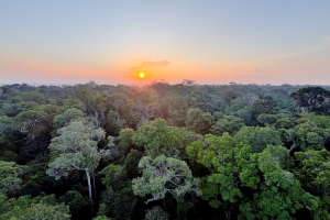 Mitigar ou adaptar: o que protege o Brasil das mudanças climáticas?