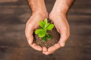 Cesmac realiza Semana do Meio Ambiente