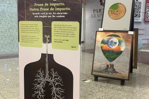 Último Suspiro: artista plástico Cícero Brito inaugura nova expo em shopping