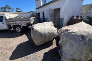 Hospital Ib Gatto Falcão desenvolve projeto de reciclagem de material descartável