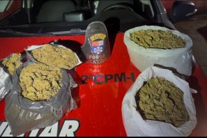 PM apreende mais de três quilos de maconha durante ação em Paripueira