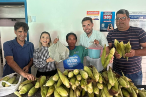 Prefeitura de Campo Alegre distribui 20 mil espigas de milho nos três complexos nutricionais , escolas e setores da saúde