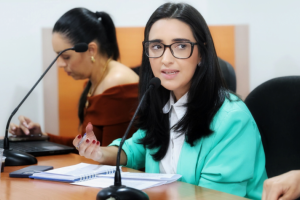 Secretaria de Saúde de Campo Alegre presta contas dos investimentos do 1º quadrimestre de 2025 em audiência pública