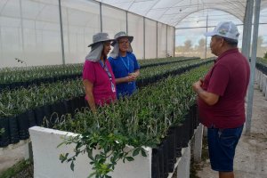 Adeal certifica viveiro de mudas de citros em Arapiraca
