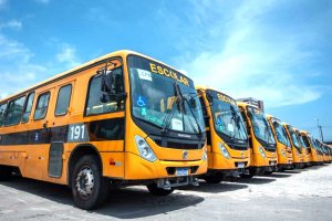 ALE aprova projeto que estabelece critérios para contratação de serviços de transporte escolar
