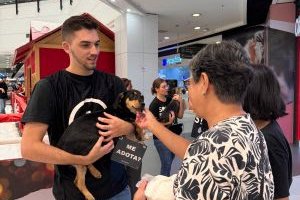 Animais resgatados ganham novos lares em evento de adoção em Maceió